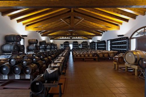 Уксус бальзамический из Модены. Настоящий бальзамический уксус из Модены 02