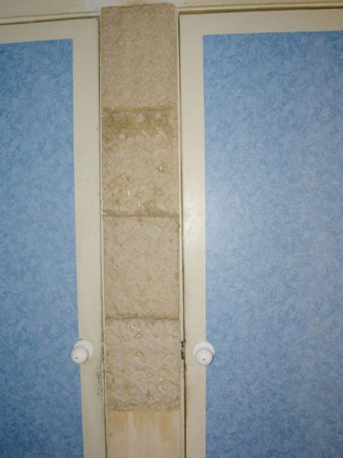 Декор стен из яичных лотков. Стена из яичной упаковки