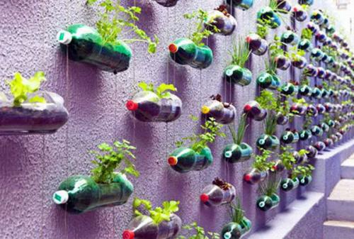 Как сделать кашпо для цветов из пластиковых бутылок своими руками. Удобное кашпо из пластиковой бутылки