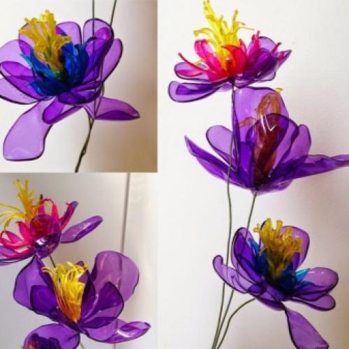 Горшки из 5 литровых бутылок. Особенности самодельных моделей