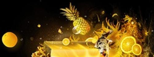 Лучшие графические дизайнеры мира. 23 креативных графических дизайнера