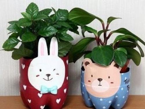 Горшки из 5 литровых бутылок. Особенности самодельных моделей