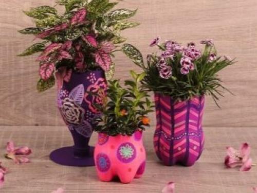 Горшки из 5 литровых бутылок. Особенности самодельных моделей