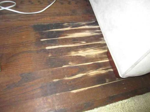 Как ухаживать за ламинатом, чтобы он блестел. Как придать старому ламинату новый блестящий вид?