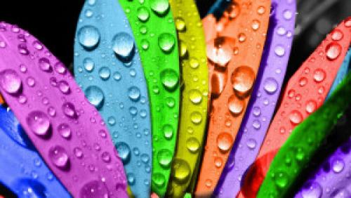 Водоэмульсионная краска для ванной. Какие подходят для ванных комнат?