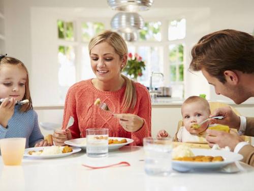 Правила поведения за столом для детей. Как Коксик и Шуня учились правилам поведения за столом