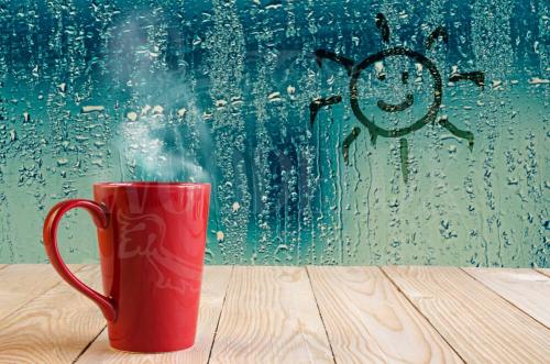 Почему потеют деревянные окна. Почему деревянные окна в частном доме потеют изнутри?