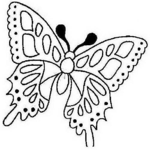 Поделка бабочка из пластиковой бутылки. Сверкающая бабочка из пластиковой бутылки