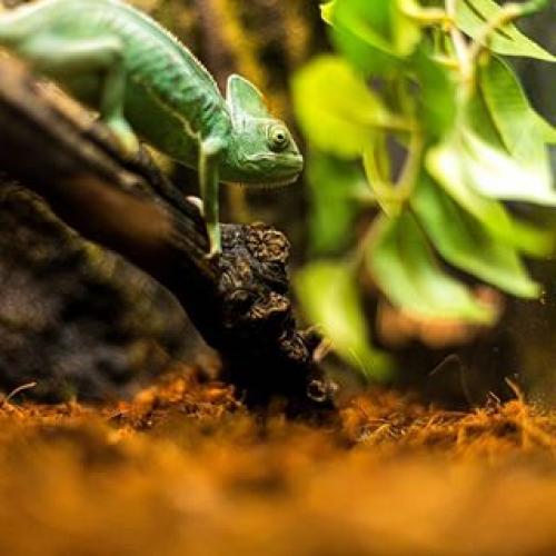 Царица арт. Photos, videos and stories of @zariza_art on instagram