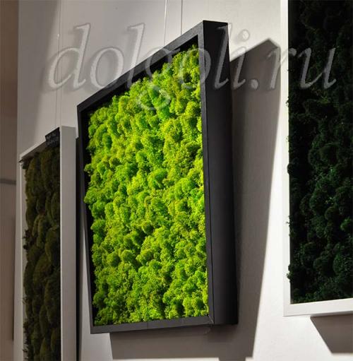 Панно своими руками из природного материала. Мох в дизайне интерьера квартиры, декор офиса