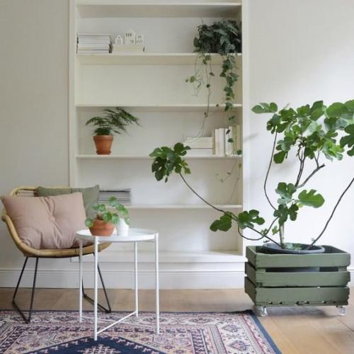 Как сделать квартиру однокомнатную уютной. Как сделать съемную квартиру уютной: 5 советов