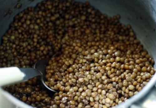 Как приготовить чечевицу на гарнир. Как вкусно и просто приготовить чечевицу на гарнир