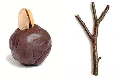 Поделки из скорлупы фисташек своими руками. Поделки из фисташек – 7 простых идей 13 Поделки из скорлупы фисташек своими руками. Поделки из фисташек – 7 простых идей 13