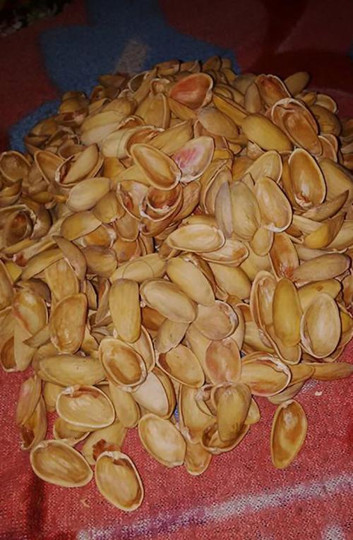 Поделки из скорлупы фисташек своими руками. Поделки из фисташек – 7 простых идей 04 Поделки из скорлупы фисташек своими руками. Поделки из фисташек – 7 простых идей 04