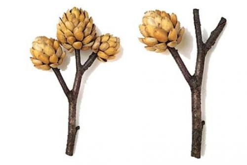 Поделки из скорлупы фисташек своими руками. Поделки из фисташек – 7 простых идей 15 Поделки из скорлупы фисташек своими руками. Поделки из фисташек – 7 простых идей 15