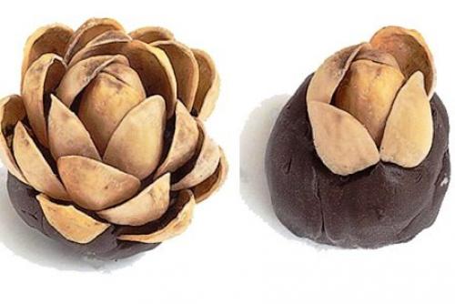 Поделки из скорлупы фисташек своими руками. Поделки из фисташек – 7 простых идей 14 Поделки из скорлупы фисташек своими руками. Поделки из фисташек – 7 простых идей 14