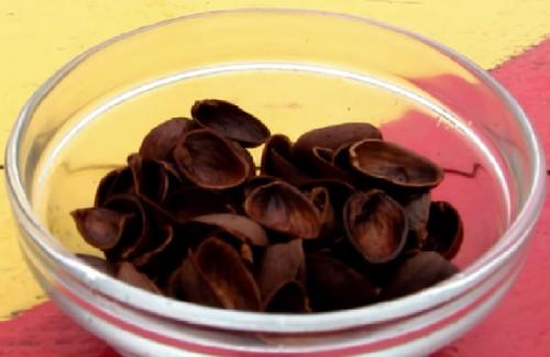 Скорлупа фисташек применение. Настойка на фисташках (скорлупе)
