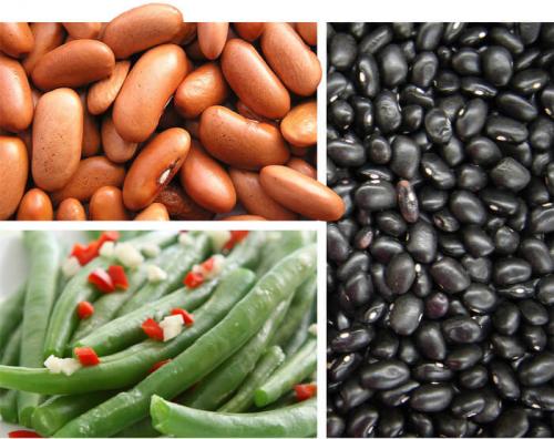 8 продуктов которые ускоряют метаболизм. 8 продуктов, которые помогут ускорить ваш метаболизм.