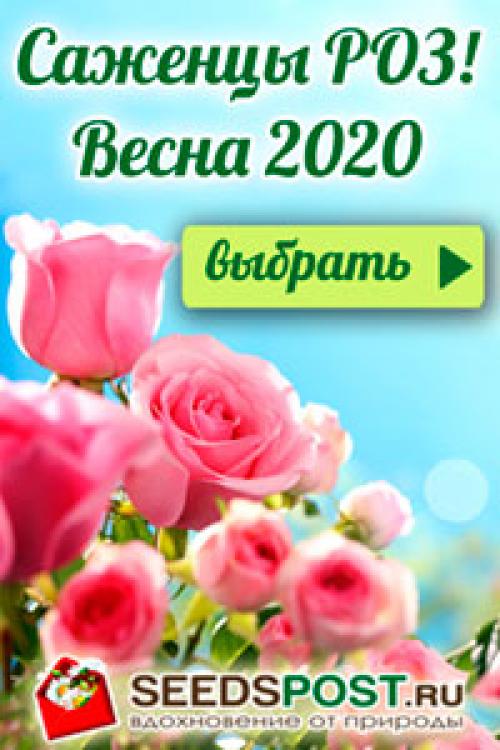 Как сделать рукомойник из подручных средств. Как сделать рукомойник для дачи своими руками