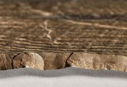 Какую плитку лучше положить на кухне на пол. Правила и рекомендации по выбору плитки