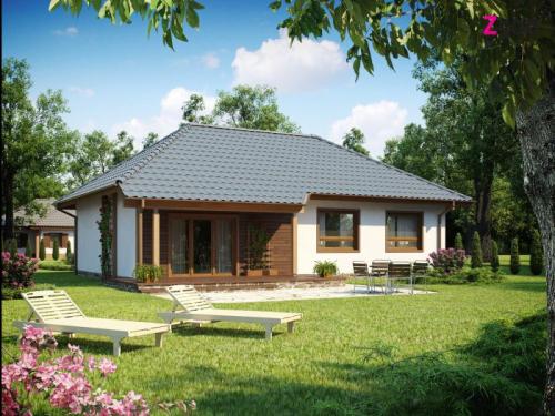 Дома в стиле шале одноэтажные. Особенности строительного стиля