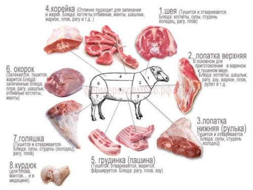 Как замариновать баранину на шашлык, чтобы не было запаха. Как мариновать баранину для шашлыка, чтобы мясо было сочным и мягким