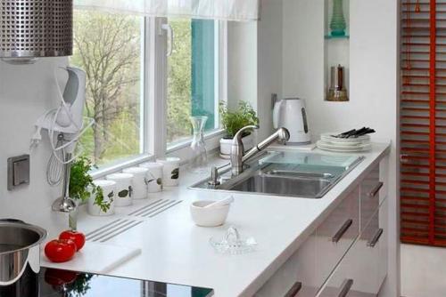 Мойка у окна в частном доме. Почему установка кухонной мойки под окном загородного дома - не самое удачное решение?