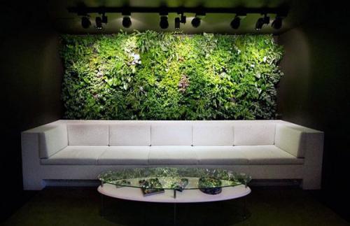 Вертикальный сад с пряностями на вашей кухне. Идеи дизайна домашнего сада – правила распланировки.