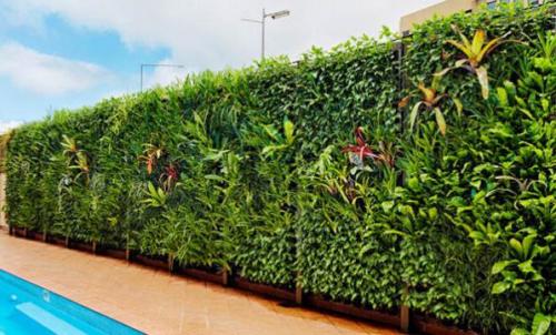 Вертикальный сад в квартире. Причины популярности и история 12