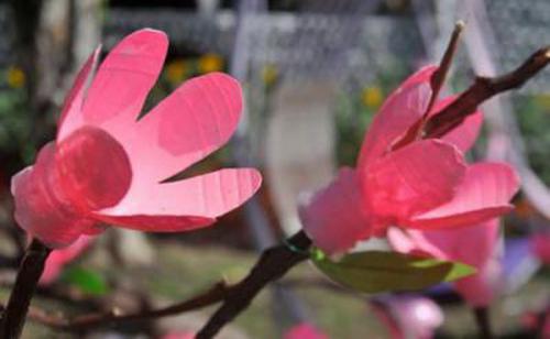 Цветы из бутылок на улицу. Как сделать цветы из пластиковых бутылок? 4 мастер-класса с фото