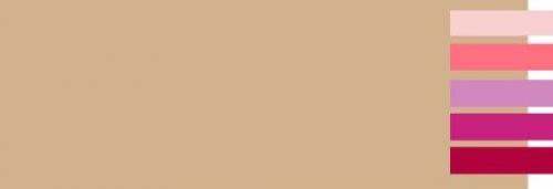 Сочетание розового и бежевого. С какими цветами сочетается бежевый?