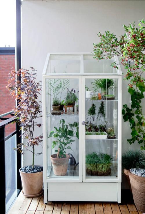 Как красиво расставить цветы на подоконнике. Идеальное место для комнатных цветов