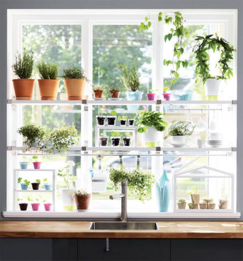 Как красиво расставить цветы на подоконнике. Идеальное место для комнатных цветов