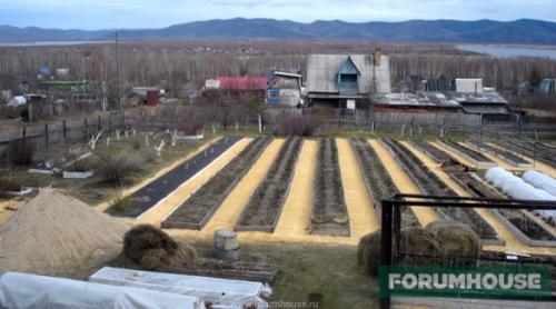 Умные грядки на огороде: схема расположения