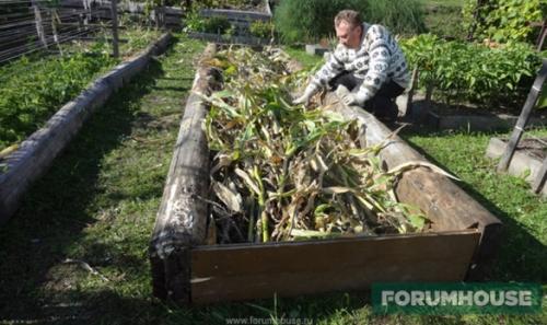 Умные грядки на огороде: схема расположения