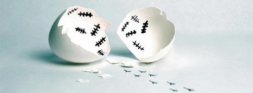 Чем заменить яйца в тесте. Чем заменить яйца в выпечке: 5 идей для вегетарианцев 11