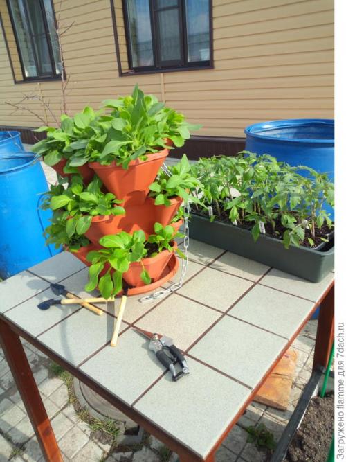 Реставрация стола плиткой. У тебя опять новый стол? Да нет, это старый! Мой секрет преображения старого стола