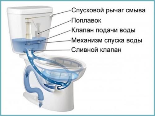 Unitaz. Разбираемся, какой унитаз лучше смывает и обходится без брызг