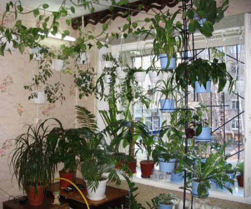 Почему потеют пвх окна. Почему потеют пластиковые окна в квартире?