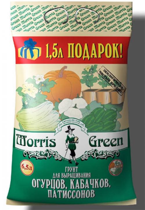 Огурцы на окне. Технология посева в квартире