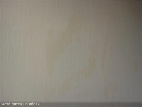 Можно ли поклеить обои на ОСБ плиту. Подходит ли ОСБ для облицовки обоями