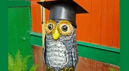 Попугай из пластиковых бутылок своими руками. Попугай из пластиковых ложек и бутылок 18