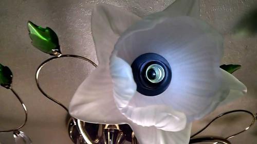 Как разобрать китайский патрон для лампочки. Инструкция по замене