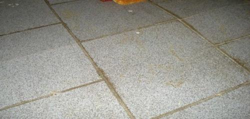 Как положить плитку на деревянный пол в частном доме. Сложности при укладке плитки