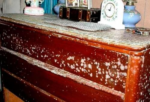 Как избавиться от плесени на мебели в домашних условиях. Как избавиться о плесени в квартире наверняка? 01 Как избавиться от плесени на мебели в домашних условиях. Как избавиться о плесени в квартире наверняка? 01