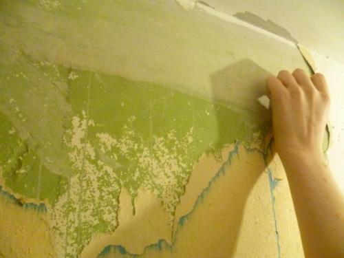 Как снять масляную краску со стен. Как легко снять старую масляную краску с потолков и стен