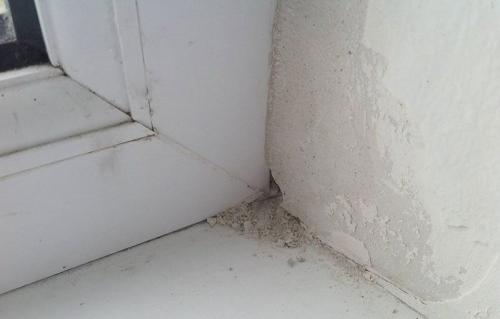 Как заклеить окна мукой. Чем заделать пластиковые окна, чтобы не дуло