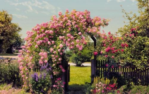 Ландшафтный дизайн маленького участка перед домом. Идеи и варианты ландшафтного дизайна на маленьком участке перед домом