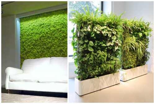 Зеленая стена из растений. Какие растения используют для вертикального озеленения квартир 09 Зеленая стена из растений. Какие растения используют для вертикального озеленения квартир 09