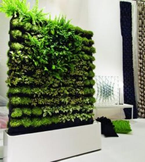 Зеленая стена из растений. Какие растения используют для вертикального озеленения квартир
